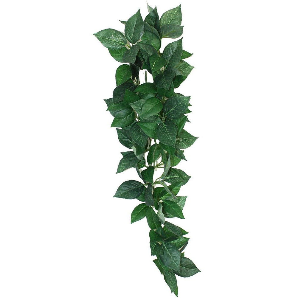 KOMODO Sumatra Hanging Vine 13cm