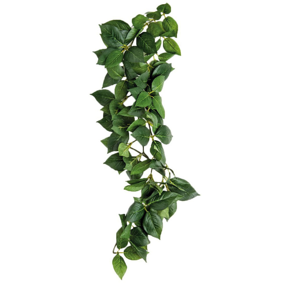 KOMODO Sumatra Hanging Vine 23cm
