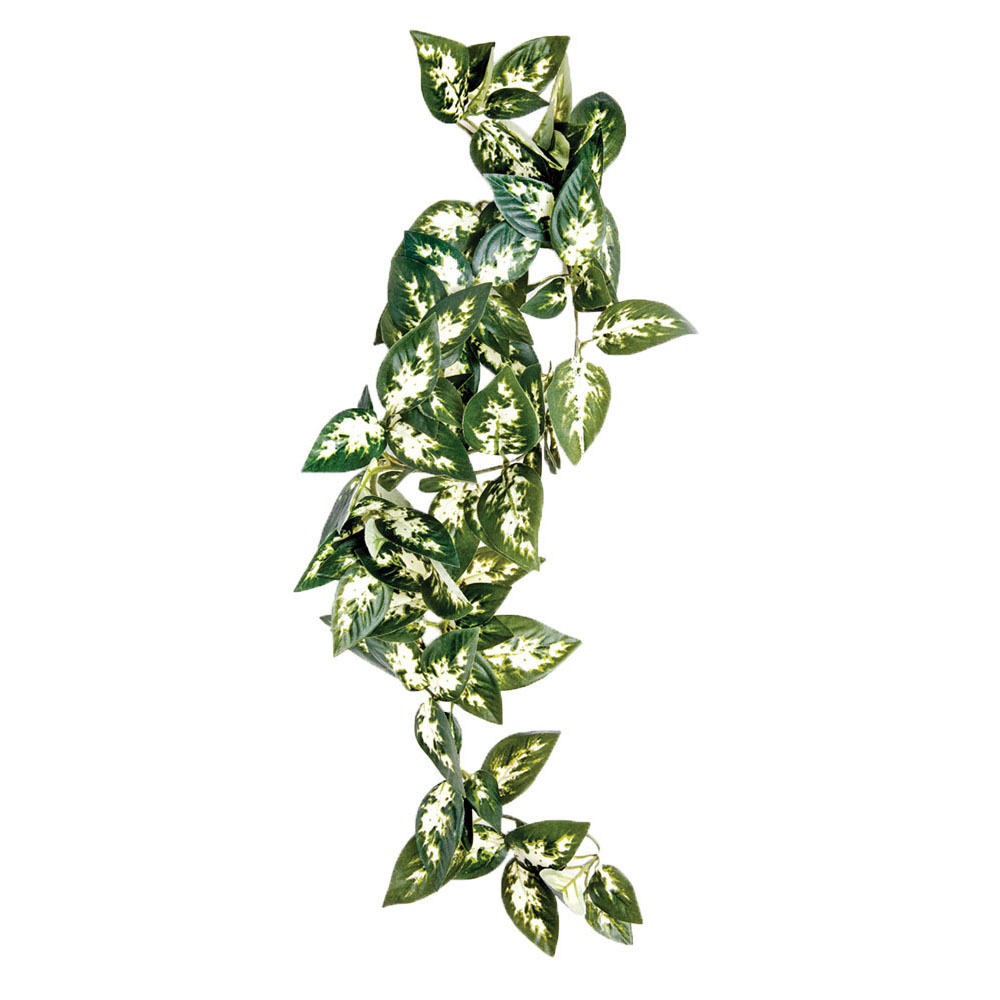 KOMODO Borneo Hanging Vine 23cm