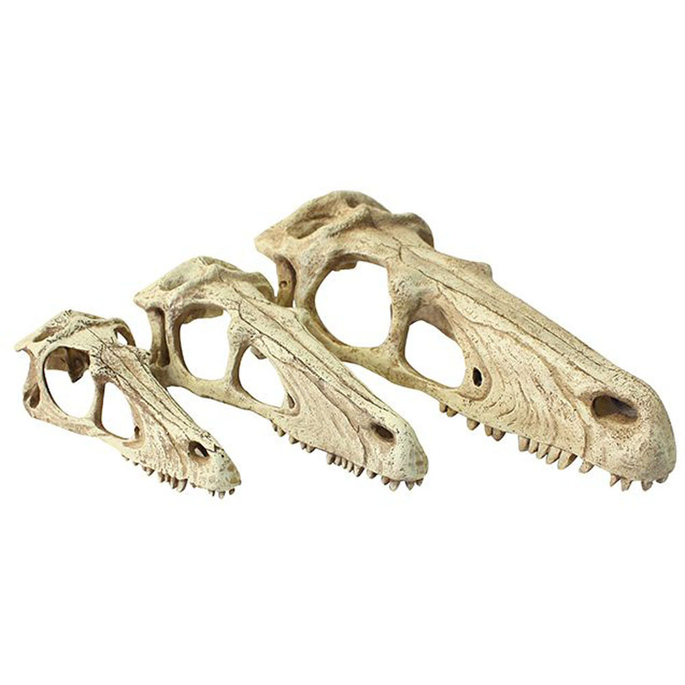 KOMODO Raptor Skull Small
