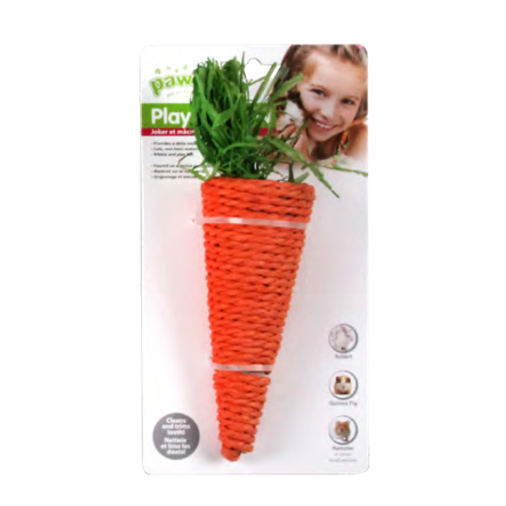 PAWISE LW Nibblers-Corn Husk Chews-Carrot