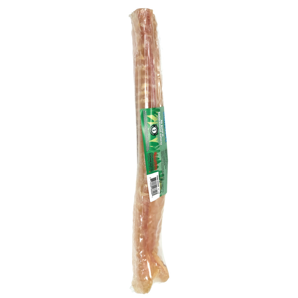 BULLSTERS Tubester Trachea 11-12in (20)
