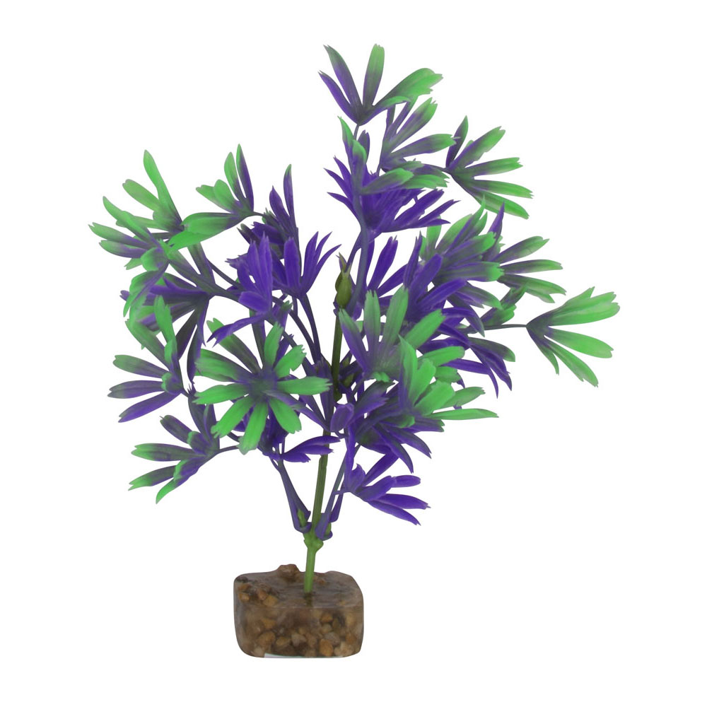 GLOFISH Plant Large Purple/Green