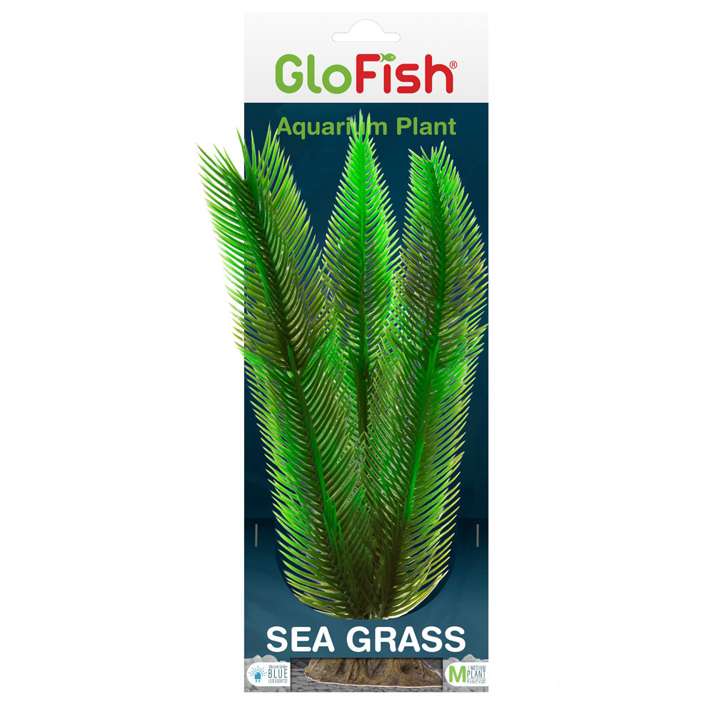 GLOFISH Plant Sea Grass Md