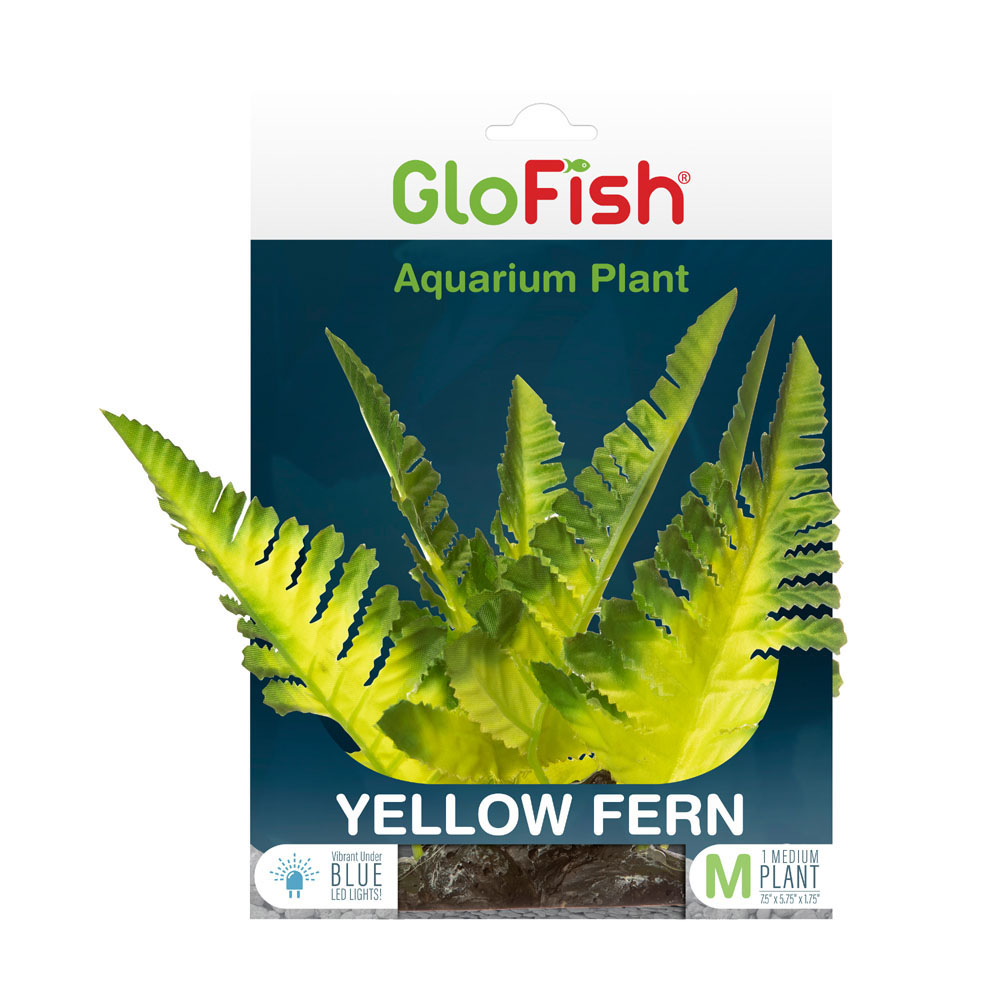 GLOFISH Plant Yellow Fern Md
