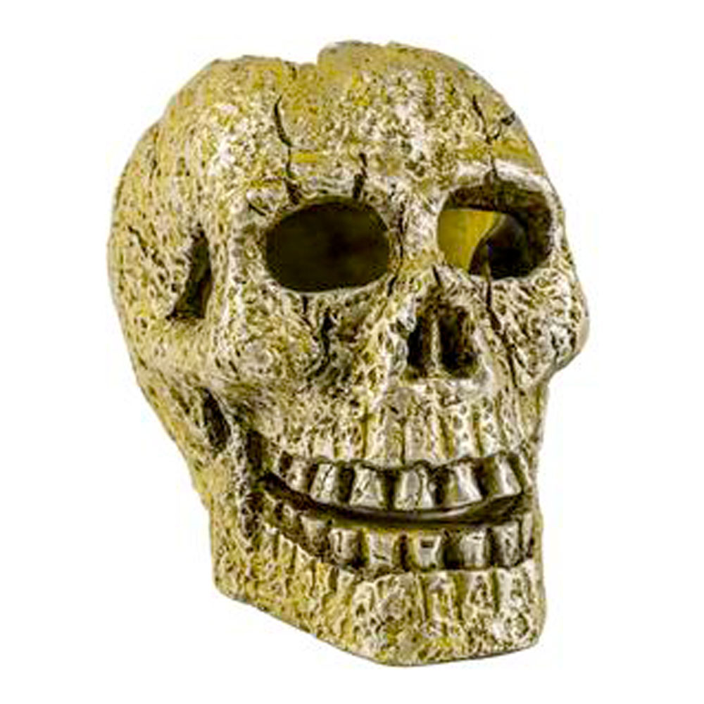 GLOFISH Ornament Skull