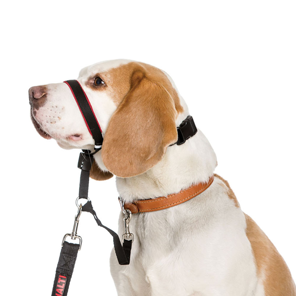 HALTI Optifit Headcollar Medium