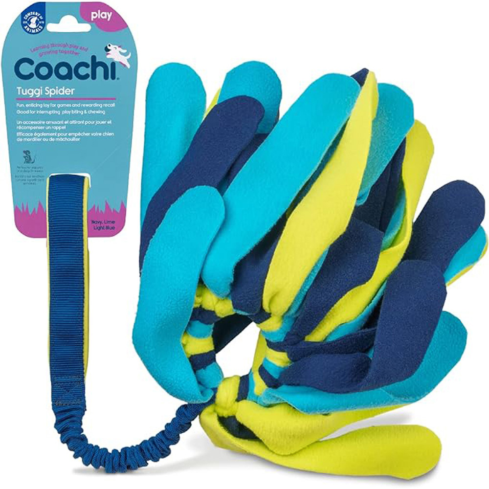 COACHI Tuggi Spider Navy Lime & Light Blue