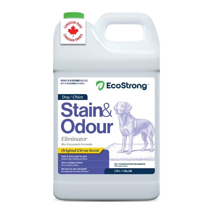ECOSTRONG Dog Stain & Odor - 1 gal